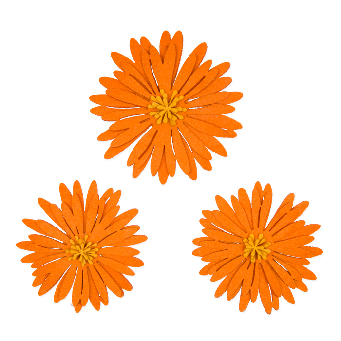 orange/dark yellow