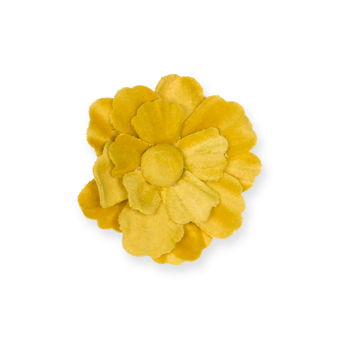 honey yellow