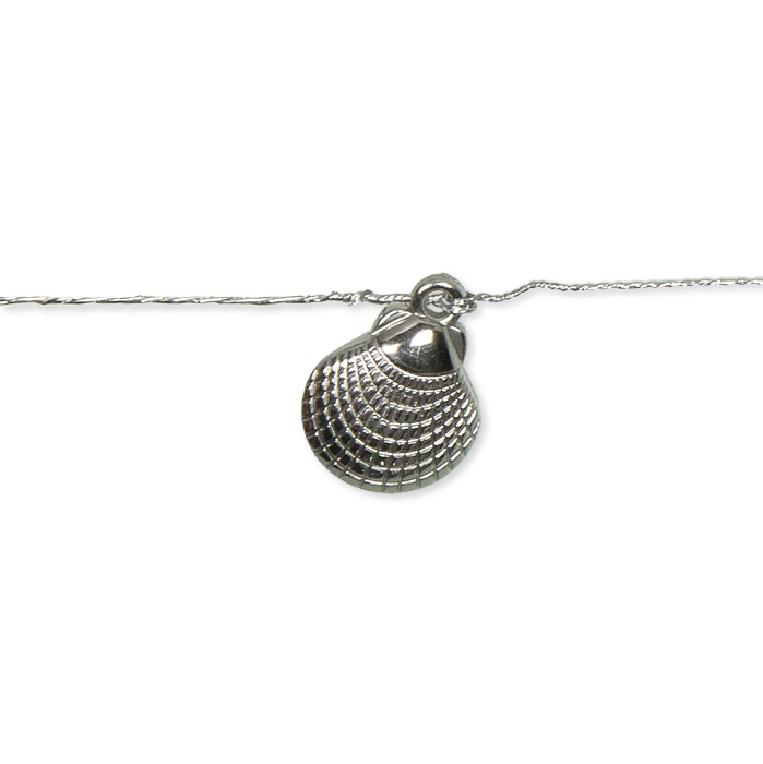 shell