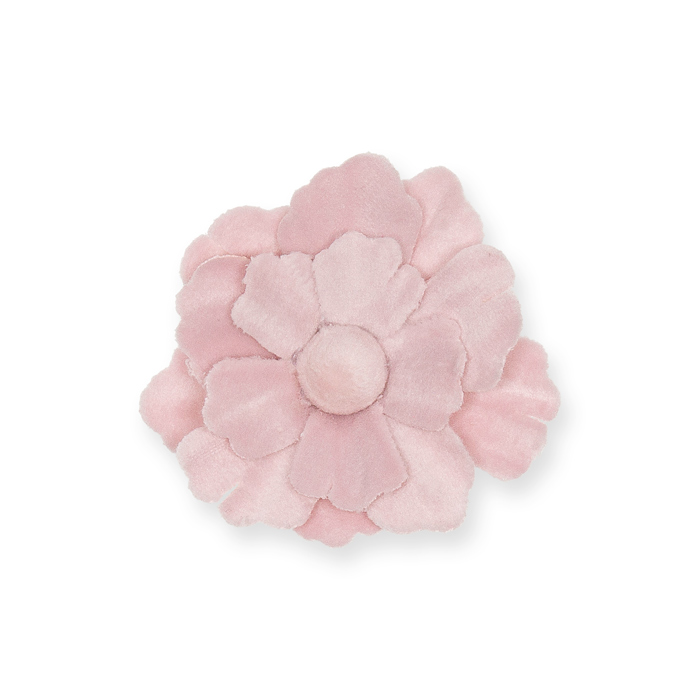 pale rose