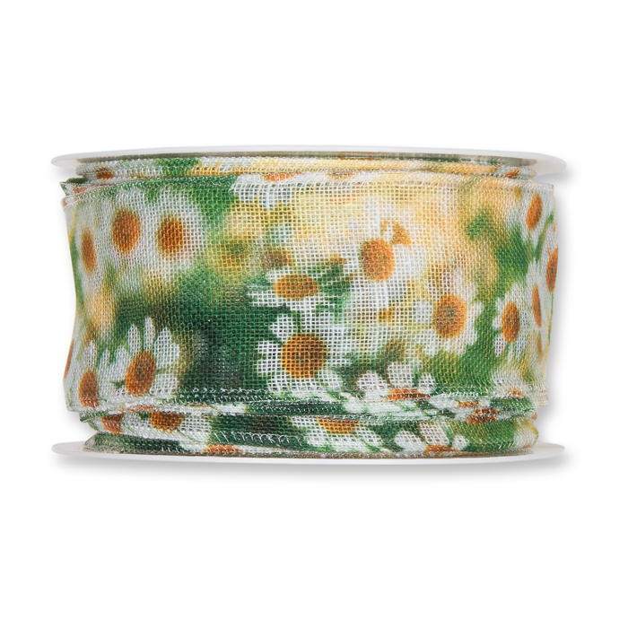 camomile blossoms