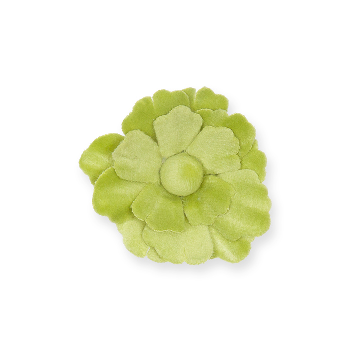 spring green