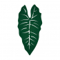 Filz-Deko "Blätter", Farbe: Tropic Grün