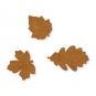 Filz-Sortiment Herbstblätter, Farbe: hellbraun natur