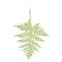 Papier-Deko " Farn" 30 x 43 cm, Farbe: pale green