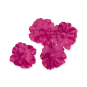 Samt-Blüten, Farbe: Pink